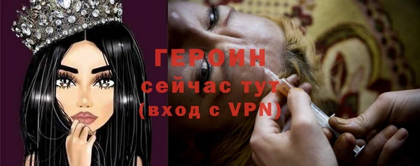стаф Вязьма