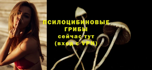 трава Горнозаводск