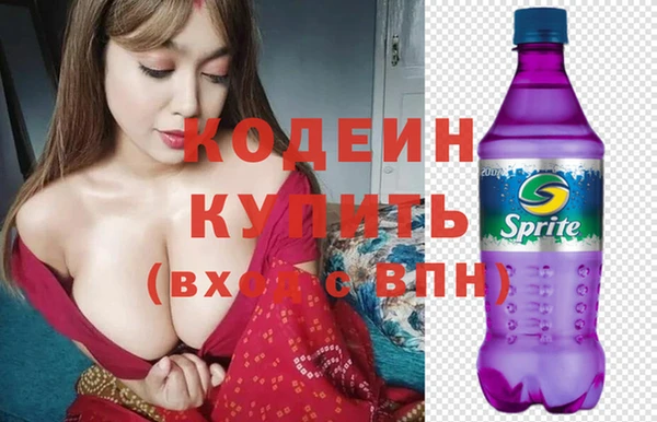 стаф Вязьма
