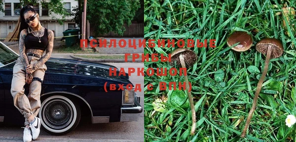 не бодяженный Вяземский