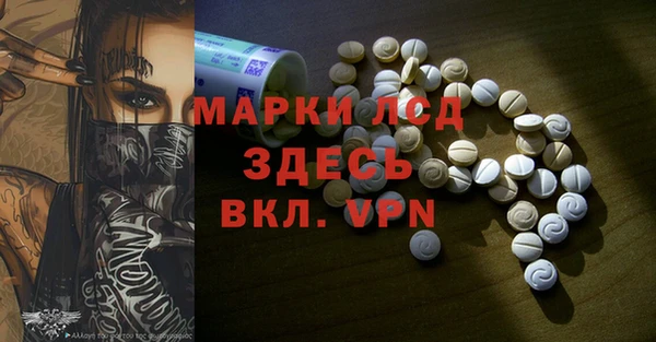 стаф Вязьма