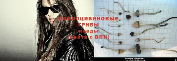 не бодяженный Вяземский